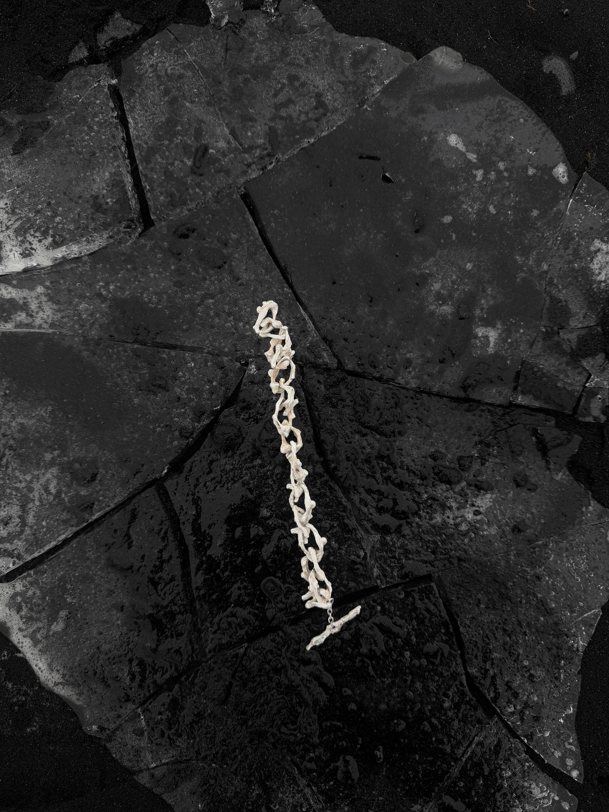 005 crooked growth