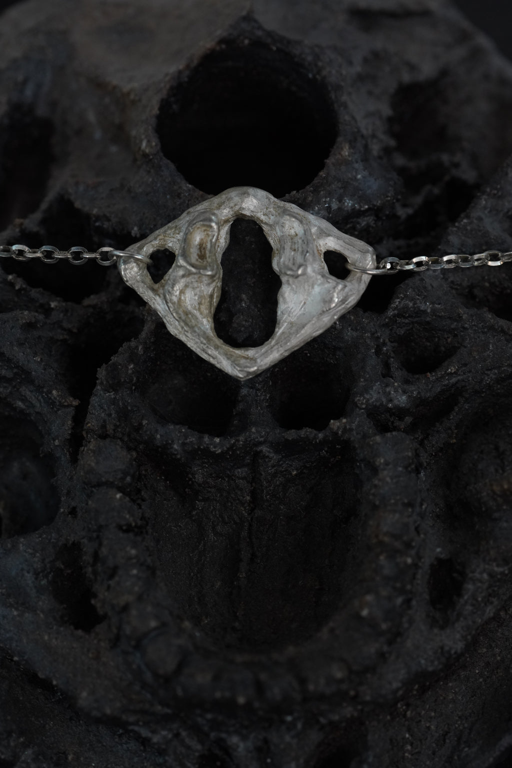 Collier SPINE
