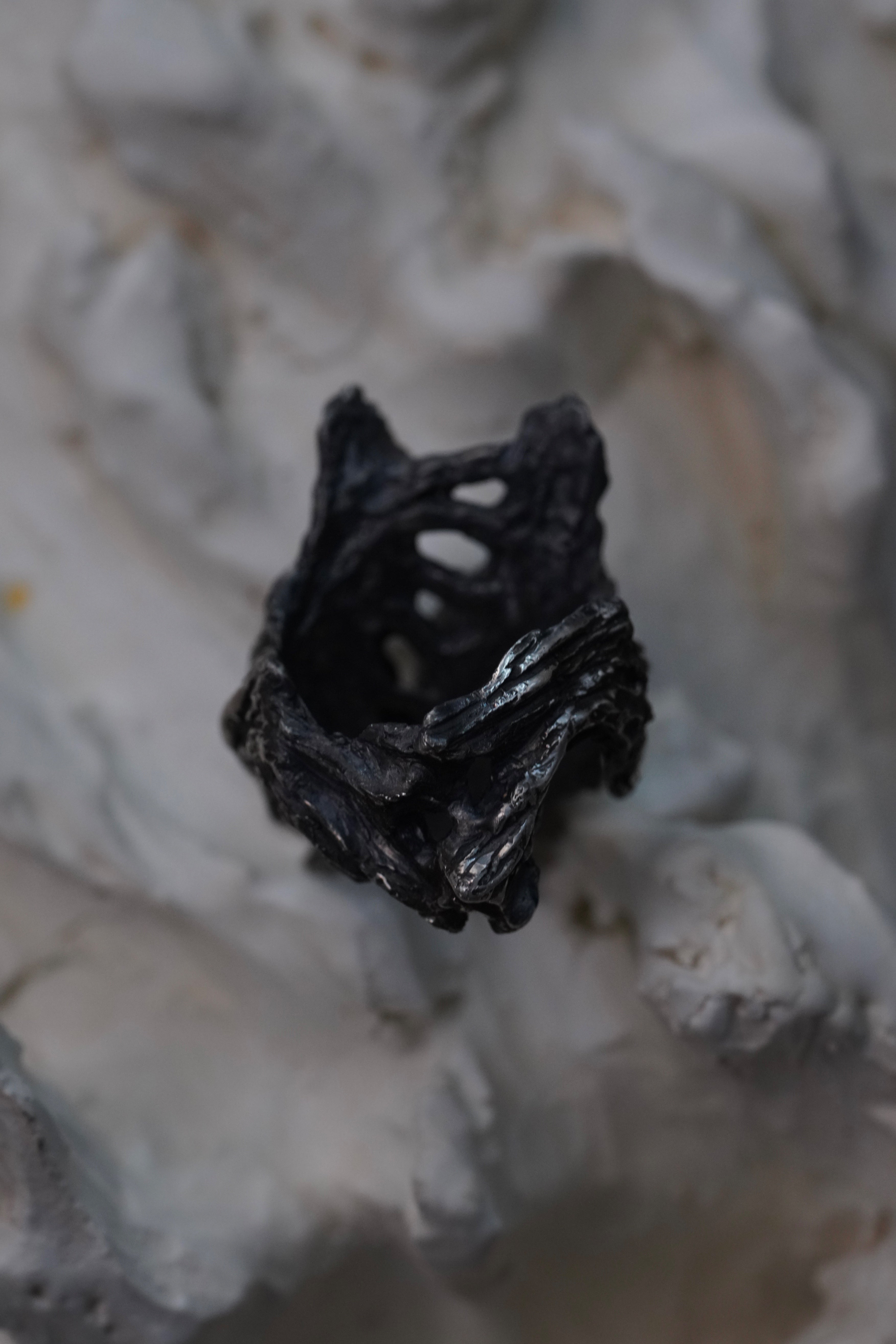 Anneau RIB