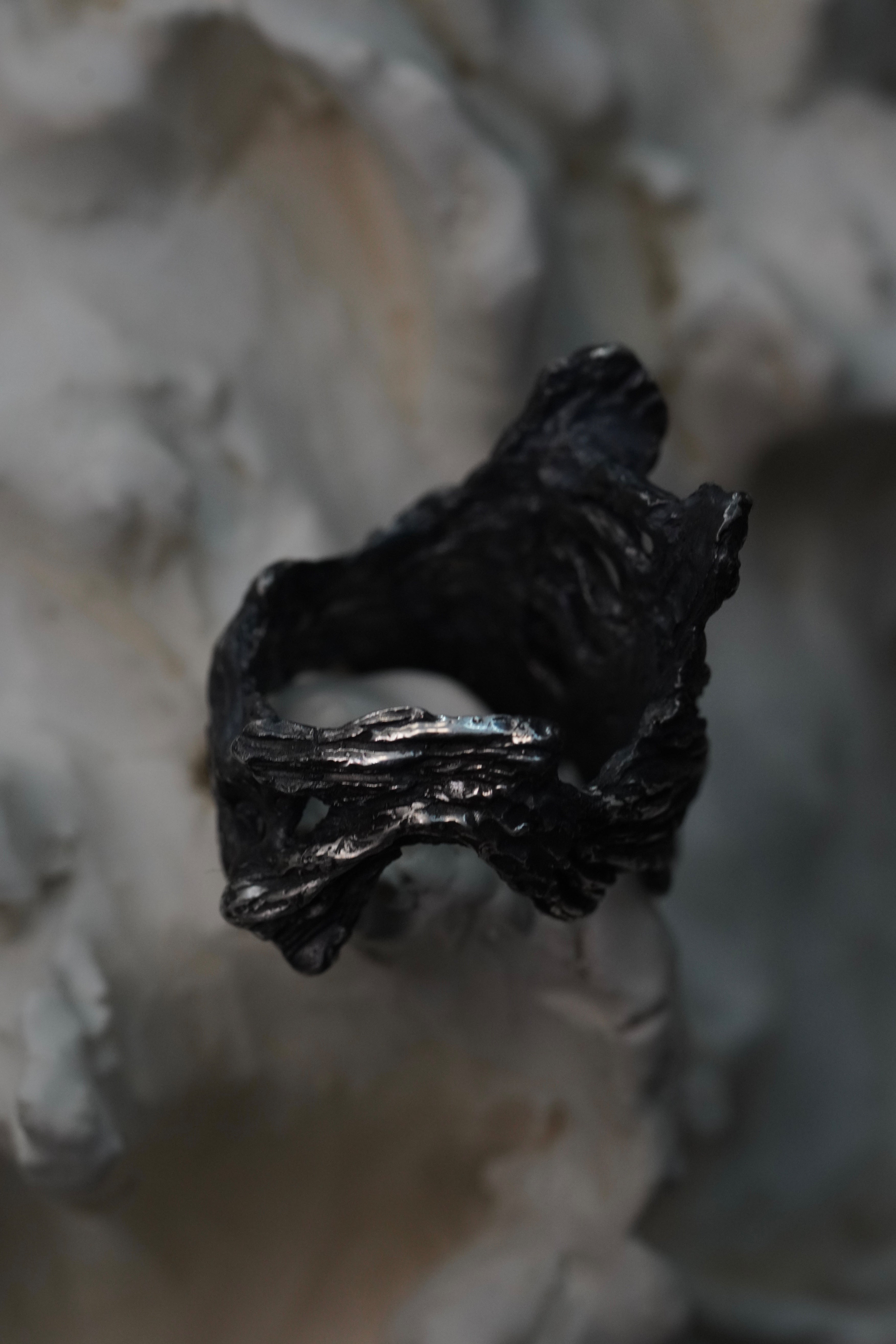 Anneau RIB