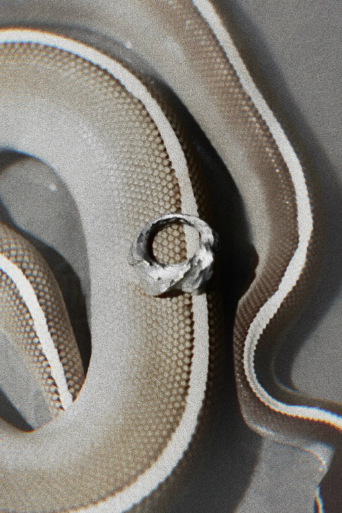 FLIUDUTY I ring [SDR001]