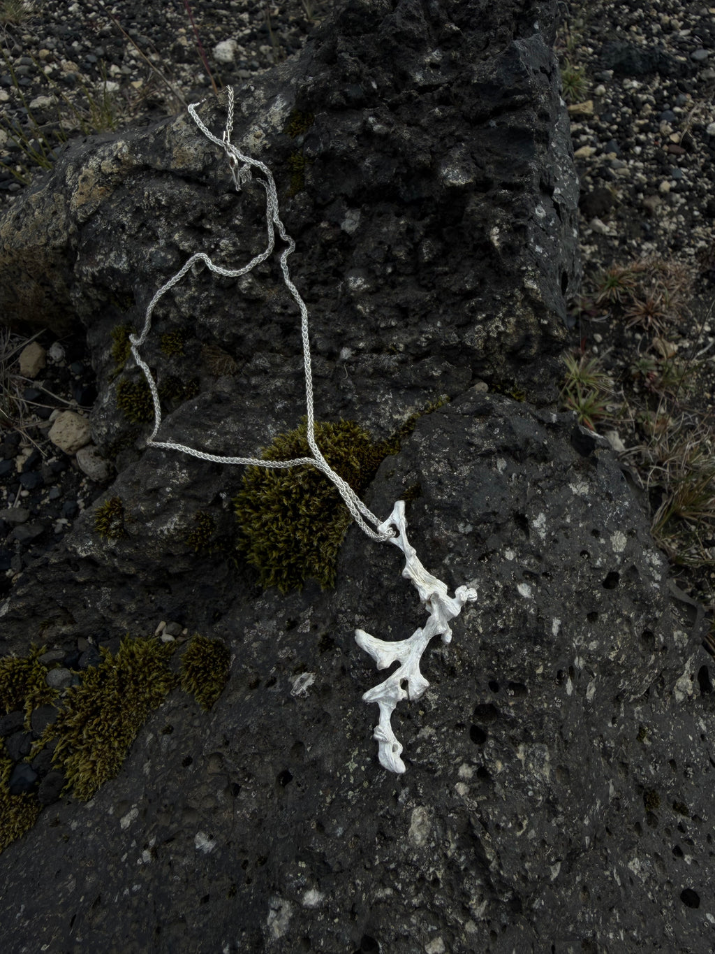 Unpruned necklace [CG003]